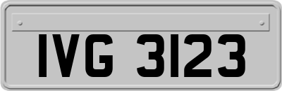 IVG3123