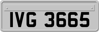 IVG3665
