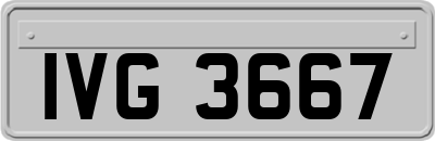 IVG3667