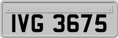 IVG3675