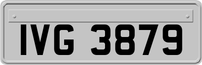 IVG3879