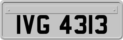 IVG4313