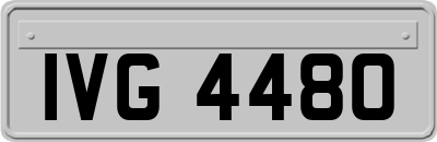 IVG4480