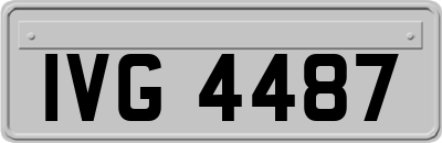 IVG4487
