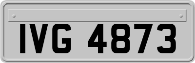 IVG4873