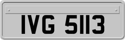 IVG5113