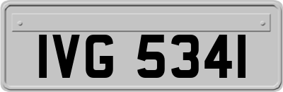 IVG5341