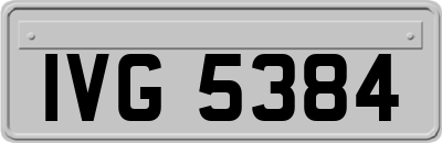 IVG5384