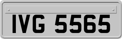 IVG5565