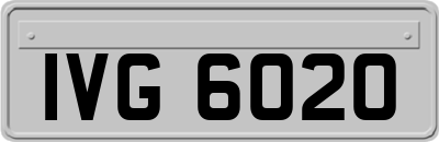 IVG6020