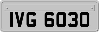 IVG6030