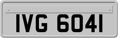 IVG6041