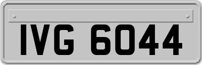 IVG6044
