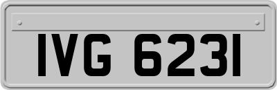 IVG6231