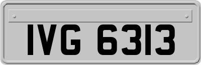 IVG6313