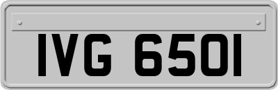 IVG6501