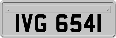 IVG6541