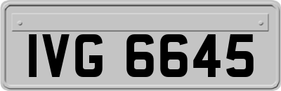 IVG6645