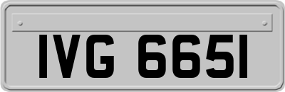 IVG6651