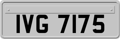 IVG7175