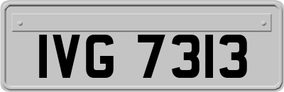 IVG7313