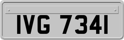IVG7341