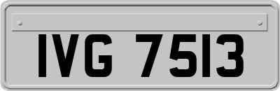 IVG7513