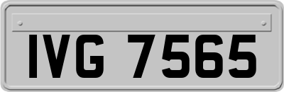IVG7565