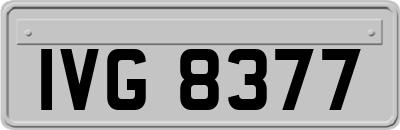 IVG8377