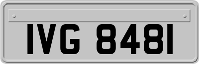 IVG8481