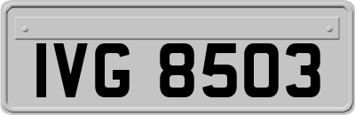 IVG8503