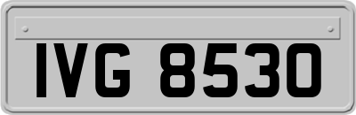 IVG8530
