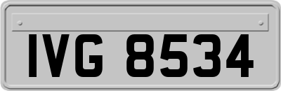 IVG8534