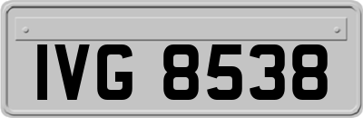 IVG8538