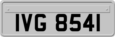 IVG8541