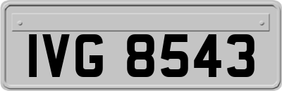 IVG8543