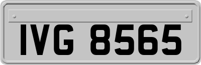 IVG8565
