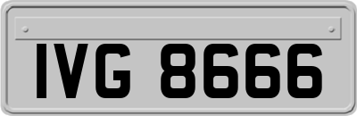 IVG8666