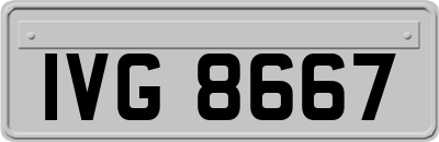 IVG8667