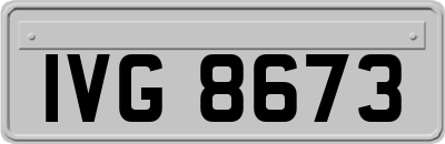 IVG8673