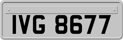 IVG8677