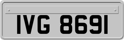 IVG8691