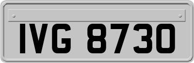 IVG8730