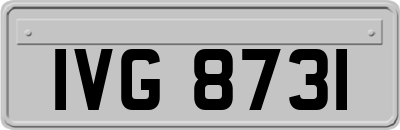 IVG8731