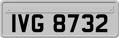 IVG8732