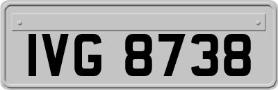 IVG8738
