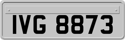 IVG8873