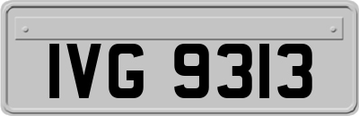 IVG9313