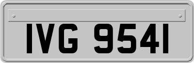 IVG9541