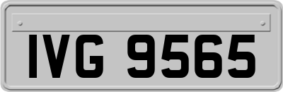 IVG9565